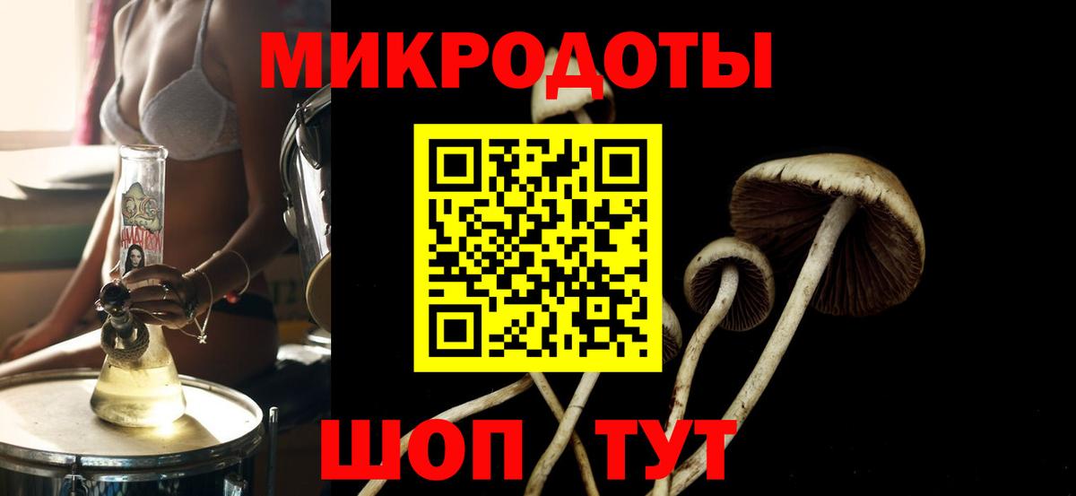 Галлюциногенные грибы Psilocybe Асбест